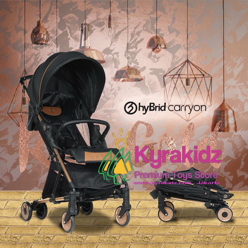 stroller hybrid carry on